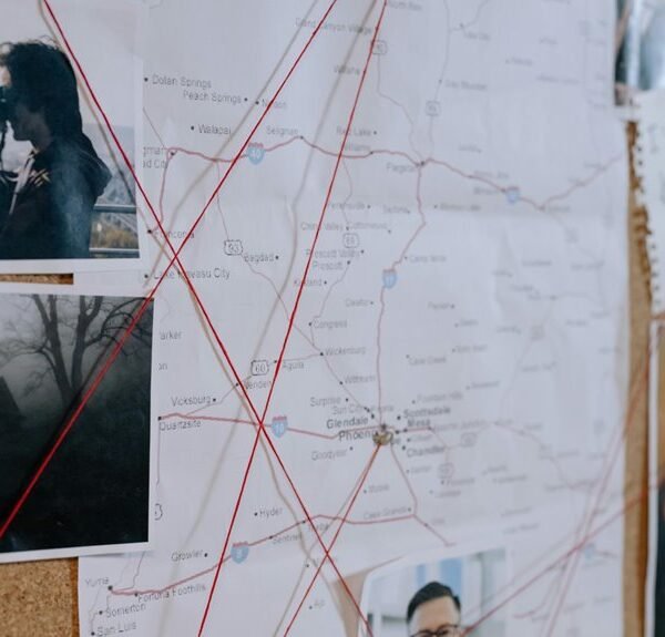 Strategic Business Intelligence Overview for 917717599, 3207967032, 914530039, 944230070, 917166663, 2026838184