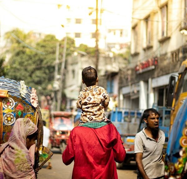 Market Dynamics Brief on 356428591, 682044794, 622279492, 8005680162, 633296300, 626818308