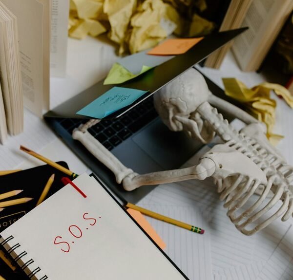 organizational insights note issued