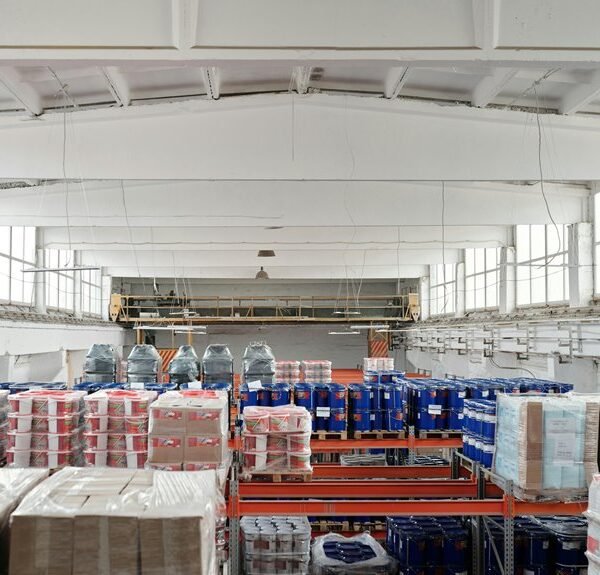 commercial insight brief summary