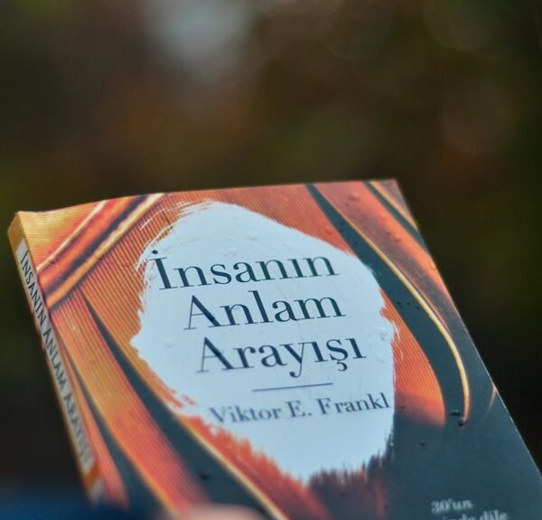 commercial insights digest report