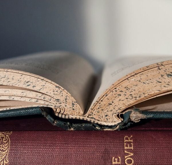 commercial intelligence insights report