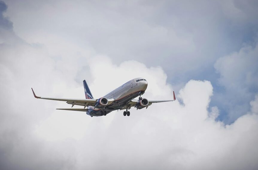 premium sector dynamics overview