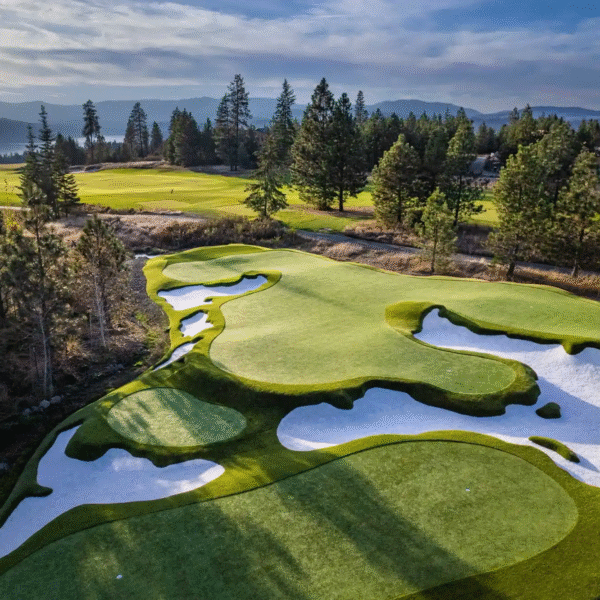 Why Choose Artificial Grass Installation in Napa for Your Property